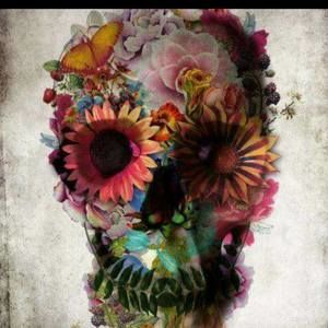 Meet your Posher, S gwinn